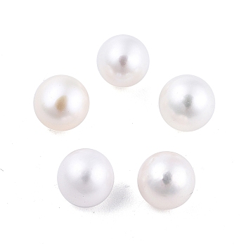 Natural Pearl Beads, No Hole/Undrilled, Round, Floral White, 6.5~7mm