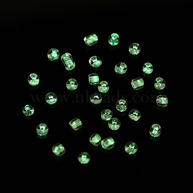 暗闇で光る蓄光透明ガラスシードビーズ(SEED-YWC0001-01H)-7