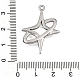 Alloy Pendants(AL-CBA31C4-01P)-3