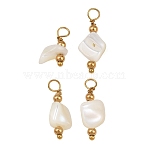 Natural Freshwater Shell Pendants, Nuggest Charm, with 304 Stainless Steel Findings, Ion Plating(IP), Long-Lasting Plated, Real 18K Gold Plated, 13.5~21x7.5~9x3~6.5mm, Hole: 2.5mm(SH-CBA5EEC-11G)