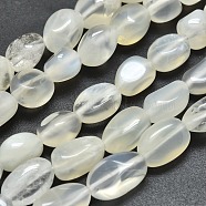 Natural White Moonstone Beads Strands, Nuggets, Tumbled Stone, 12~15x6~8x5mm, Hole: 0.8mm, about 34pcs/Strand, 15.75 inch(40cm)(G-O186-C-04)