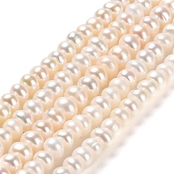 Natural Cultured Freshwater Pearl Beads Strands, Rondelle, Grade 6A, Beige, 4.5~5x3~4.5mm, Hole: 0.7mm, about 124pcs/strand, 14.65 inch(37.2cm)(PEAR-J007-29)