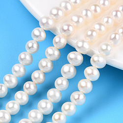 Natural Cultured Freshwater Pearl Beads Strands, Round, Creamy White, 5.5~7mm, Hole: 0.5mm, about 60~69pcs/strand, 14.65 inch~15.63 inch(37.2~39.7cm)(PEAR-N016-05A)