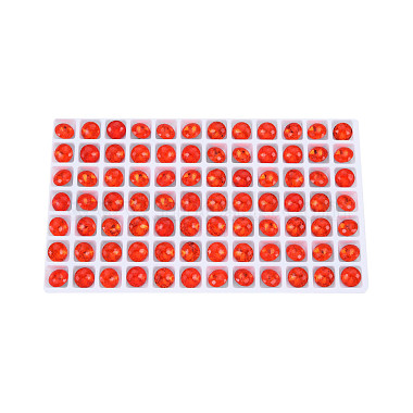 K9 Glas Strass Cabochons(MRMJ-N029-13-02)-2