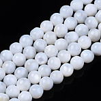 Natural Freshwater Shell Beads Strands, Round, White, 4mm, Hole: 0.8mm, about 97~99pcs/strand, 14.88 inch~15.16 inch(37.8~38.5cm)(X-SHEL-N003-24-A01)