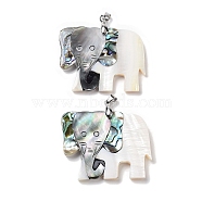 Natural Paua Shell & Black Lip Shell & White Shell Pendants, Elephant Charms with Stainless Steel Color Tone Stainless Steel Snap on Bails, 38.5x51x5mm, Hole: 6x4.2mm(FIND-A041-02I-P)