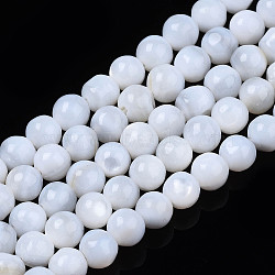 Natural Freshwater Shell Beads Strands, Round, White, 4mm, Hole: 0.8mm, about 97~99pcs/strand, 14.88 inch~15.16 inch(37.8~38.5cm)(X-SHEL-N003-24-A01)