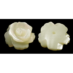 Natural Shell Beads, Half Drilled, Rose, White, about 10mm in diameter, hole: 1mm(SH159)