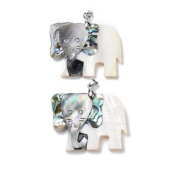 Natural Paua Shell & Black Lip Shell & White Shell Pendants, Elephant Charms with Stainless Steel Color Tone Stainless Steel Snap on Bails, 38.5x51x5mm, Hole: 6x4.2mm