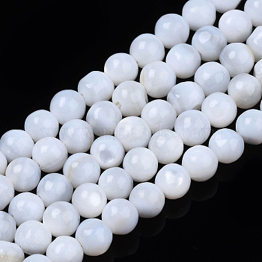 Natural Freshwater Shell Beads Strands(X-SHEL-N003-24-A01)-1