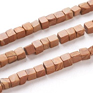Natural Wood Lace Stone Beads Strands, Cube, 4x4x4mm, Hole: 0.7mm, about 93pcs/Strand, 15.75 inch(40cm)(G-F631-K07)