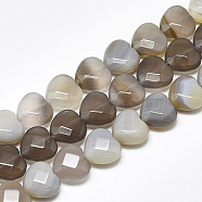 Natural Grey Agate Beads Strands, Faceted, Heart, 14.5~15x15~15.5x7~8mm, Hole: 1.2mm, about 14pcs/strand, 7.6 inch(G-S357-E02-08)