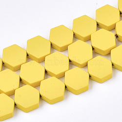 Spray Painted Non-magnetic Synthetic Hematite Beads Strands, Hexagon, Yellow, 8.5x8x3mm, Hole: 1mm, about 45pcs/strand, 15.7 inch(G-T116-03C-24)