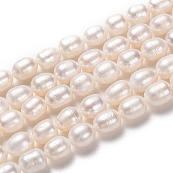 Natural Cultured Freshwater Pearl Beads Strands, Rice, Bisque, 10~11x8~9mm, Hole: 0.8mm, about 35pcs/strand, 13.78 inch(35cm)(PEAR-L033-83)