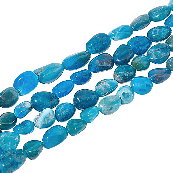 2 Strands Natural Apatite Beads Strands, Oval, 5~15x4~10x2~6mm, Hole: 1mm, about 40~60pcs/strand, 15.7''(39.88cm)
