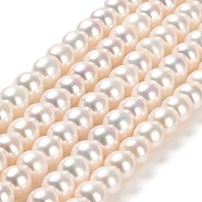 Natural Cultured Freshwater Pearl Beads Strands, Grade 4A++, Rondelle, Linen, 8~9x6~7mm, Hole: 1mm, about 55pcs/strand, 15.75''(40cm)(PEAR-J007-09)