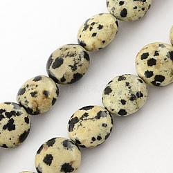 Natural Dalmation Jasper Bead Strands, Lentil, Beige, 10x5mm, Hole: 1mm, about 40pcs/strand, 15.7 inch(X-G-R189-14)