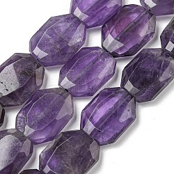 Natural Amethyst Beads Strands, Hexagon, Faceted, 12x17x5mm, Hole: 1mm, about 24pcs/strand, 15.55''(39.5cm)(G-P544-B06-01)