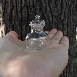 Glass Jar, Micro Landscape Home Dollhouse Accessories, Pretending Prop Decorations, Clear, 30x28mm(PW-WG23374-01)