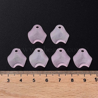 perles acryliques transparents(X-MACR-S373-106-D05)-5