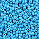 Baking Paint Glass Seed Beads(SEED-S001-K10)-2