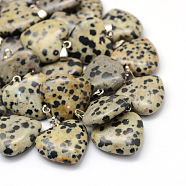 Heart Natural Dalmatian Jasper Pendants, with Platinum Tone Brass Findings, 20~22x20~21x5~8mm, Hole: 2x7mm(X-G-Q438-04)