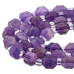 1 Strand Natural Amethyst Beads Strands, with Seed Beads, Faceted, Bicone, Double Terminated Point Prism Beads, 5~7x6mm, Hole: 0.8mm, about 48pcs/strand, 15.55 inch(39.5cm)(G-FH0002-22)