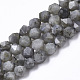 Natural Labradorite Beads Strands(G-R465-33C)-1