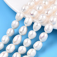 Natural Cultured Freshwater Pearl Beads Strands, Baroque Keshi Pearl Rice Beads, Seashell Color, 7.5~16x9~9.5mm, Hole: 0.7~0.8mm, about 15~16pcs/strand, 7.09 inch(18cm)(PEAR-N012-09C)