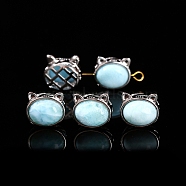 Natural Larimar Beads, with Alloy Finding, Cat, 9x11x12mm(PW-WG2C262-01)