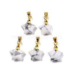 Natural Howlite Charms, with Golden Plated Brass Pinch Bail, Star, Star: 12x12.5x5.5mm, Hole: 3.5x4mm(X-G-N326-142-10)