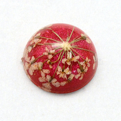 Resin Cabochons, Dome, Half Round, with Dried Flower inside, Cerise, 11.5~12x6~6.5mm(X-RESI-S320-12mm-32)