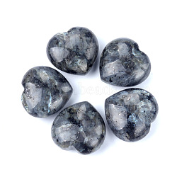 Natural Larvikite Healing Stones, Heart Stones, Pocket Palm Stones for Reiki Balancing, 30x30mm(PW-WGA91AE-03)