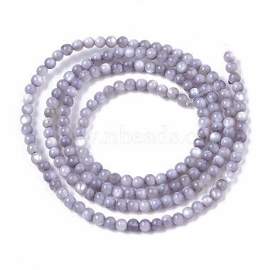 Natural Freshwater Shell Beads Strands(BSHE-T009-01A)-2