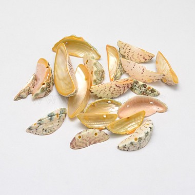 Light Khaki Moon Other Sea Shell Beads