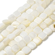 Natural Freshwater Shell Beads Strands, Square, Ghost White, 6~6.5x5.5~6x2.5~3mm, Hole: 0.8mm, about 61~62pcs/strand, 14.17~14.49 inch(36~36.8cm)(SHEL-C005-05)