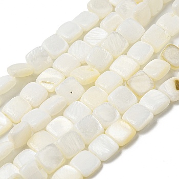 Natural Freshwater Shell Beads Strands, Square, Ghost White, 6~6.5x5.5~6x2.5~3mm, Hole: 0.8mm, about 61~62pcs/strand, 14.17~14.49 inch(36~36.8cm)
