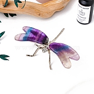 Natural Fluorite Ornament, with Platinum Tone Metal Holder for Home Desktop Feng Shui Ornament, Dragonfly, 120x80mm(PW-WG59188-01)