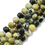 Natural Serpentine Beads Strands, with Seed Beads, Faceted, Rondelle, 8x6mm, Hole: 1mm, about 20~22pcs/strand, 7.09 inch(18cm)(G-N327-08G)