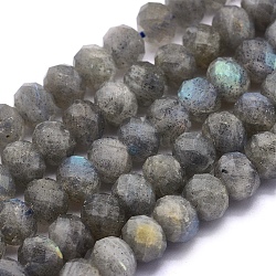 Natural Labradorite Beads Strands, Rondelle, Faceted, 7~7.5x5.5~6mm, Hole: 1mm, about 69pcs/strand, 15.7 inch(40cm)(G-O170-59C)