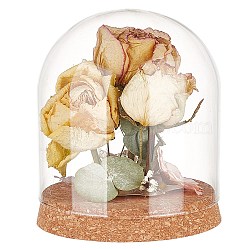 Glass Dome Cover, Decorative Display Case, Cloche Bell Jar Terrarium with Cork Base, for DIY Preserved Flower Gift, Peru, 120x140mm(DIY-WH0430-621C)