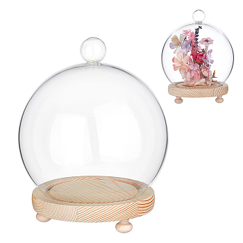 Round Glass Dome Cover, Decorative Display Case, Cloche Bell Jar Terrarium with Wood Base, Clear, 150x185mm