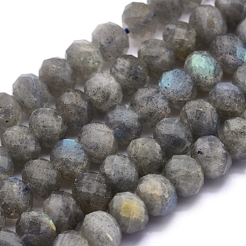 Natural Labradorite Beads Strands, Rondelle, Faceted, 7~7.5x5.5~6mm, Hole: 1mm, about 69pcs/strand, 15.7 inch(40cm)