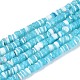 Natural Trochid Shell/Trochus Shell Beads Strands(SSHEL-N040-21B)-1