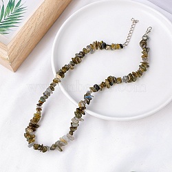 Natural Labradorite Chips Bead Necklace, 18.90 inch(48cm)(PW-WG87743-06)