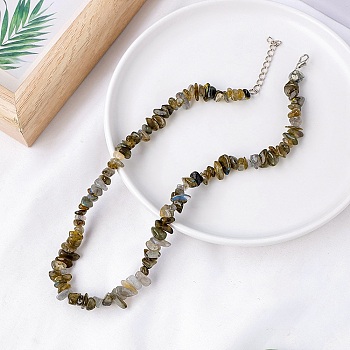 Natural Labradorite Chips Bead Necklace, 18.90 inch(48cm)