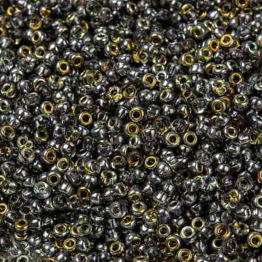 MIYUKI Round Rocailles Beads(X-SEED-G008-RR4551)-2