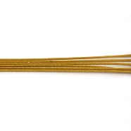 Tiger Tail Wire, Nylon-coated 201 Stainless Steel, Goldenrod, 23 Gauge, 0.6mm, about 3608.92 Feet(1100m)/1000g(TWIR-S002-0.6mm-15)
