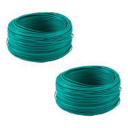 Plastic Wire Twist Ties, with Iron Core, Teal, 12 Gauge, 2x1mm, 100m/roll(YS-TAC0009-02)