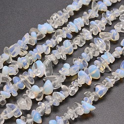 Opalite Chip Bead Strands, 5~8x5~8mm, Hole: 1mm, about 31.5 inch(G-M205-33)